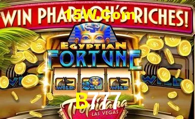 Experiência VIP B777